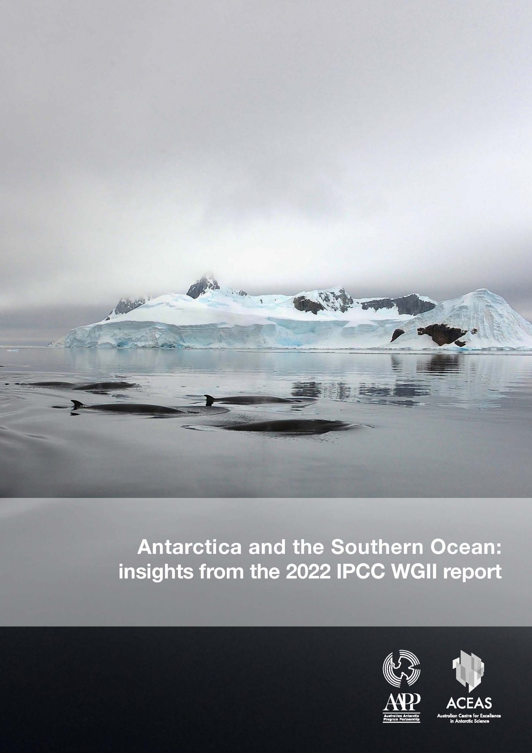 Antarctica-and-the-Southern-Ocean-insights-from-the-2022-IPCC-WGII-report_Page_1