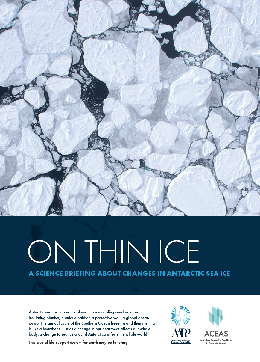 cover page sea ice brief