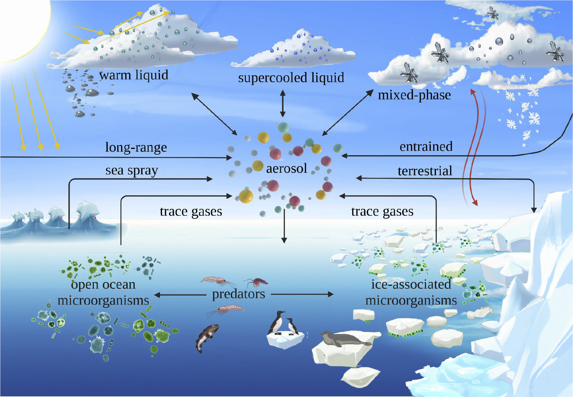 Ocean To Cloud Process