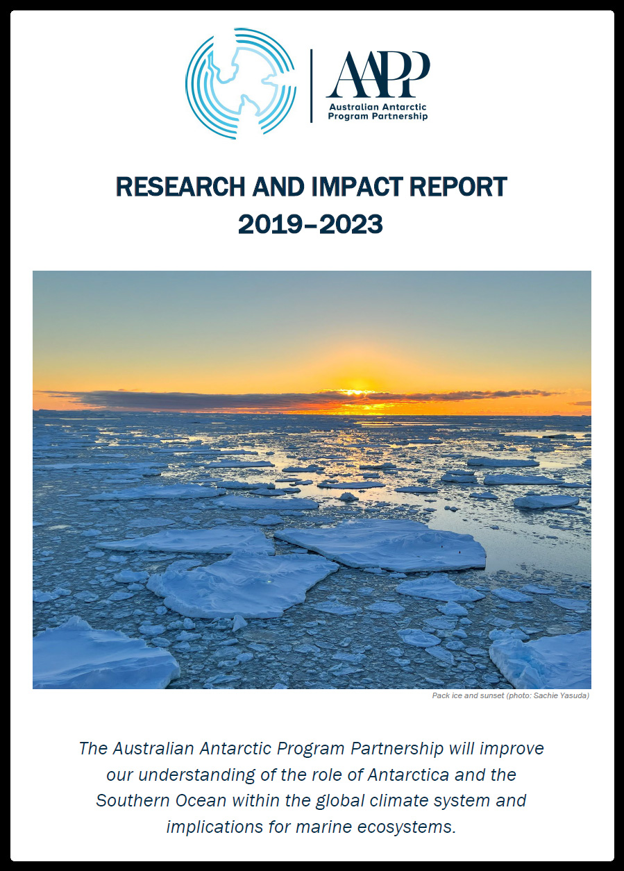 research and impact report_edited