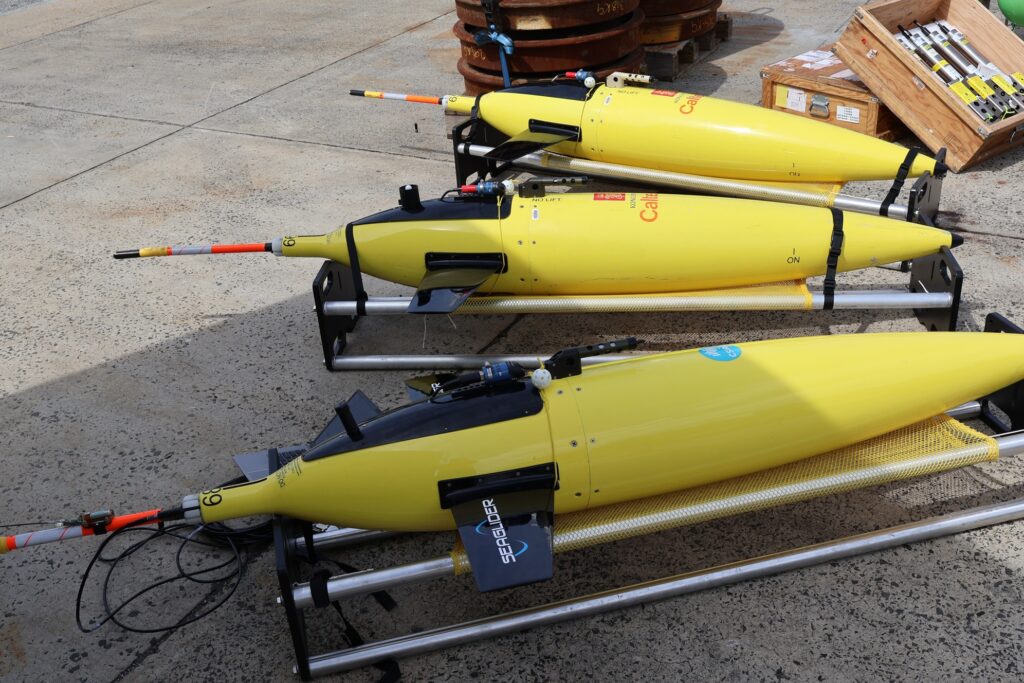 Three underwater gliders - two from Caltech, one from CSIRO, will be deployed from the ship and piloted from the US and Tasmania. (photo: Mark Horstman)