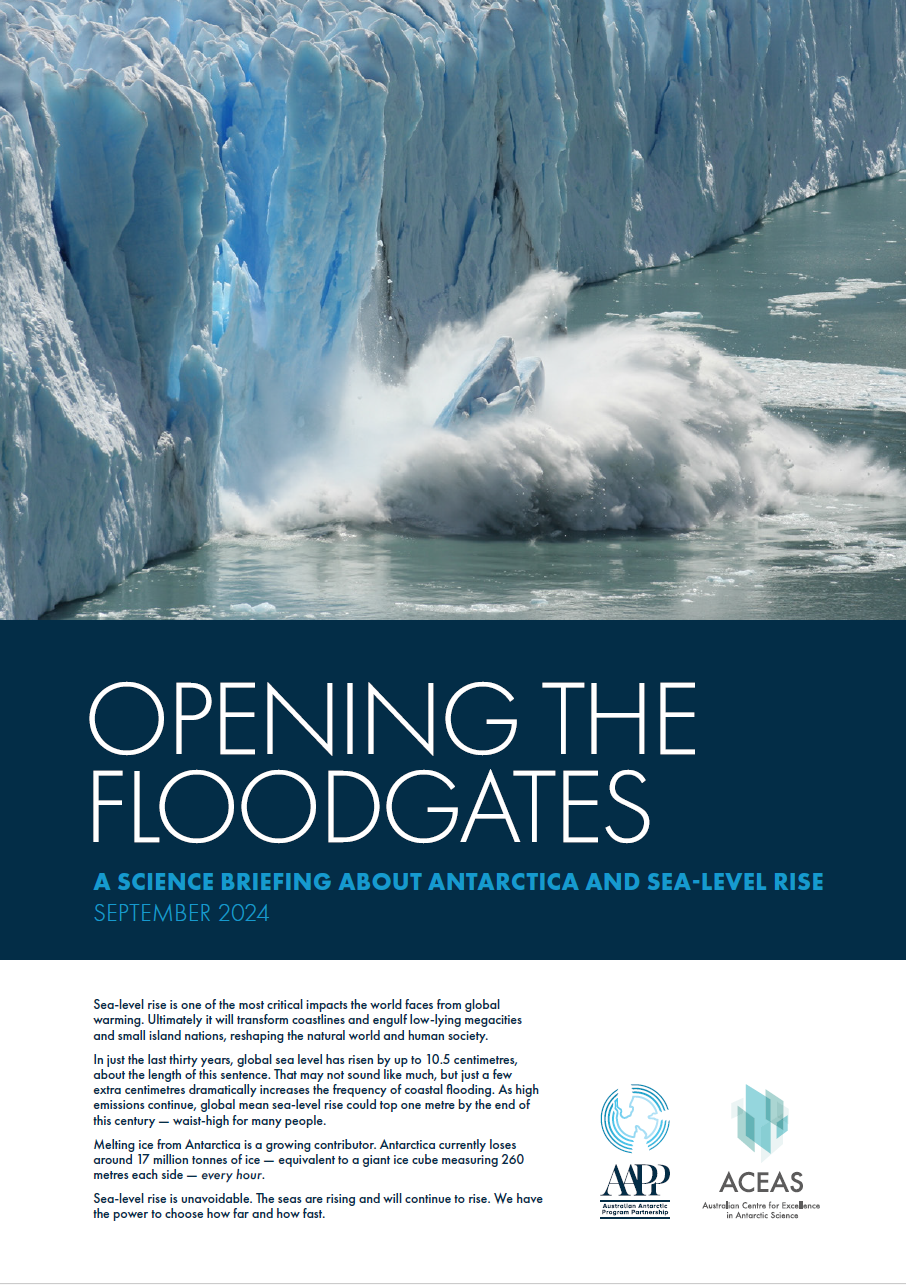 Opening floodgates cover