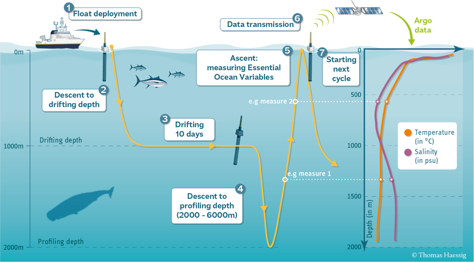 Expanding robotic float numbers a win for Australia’s ocean and climate ...