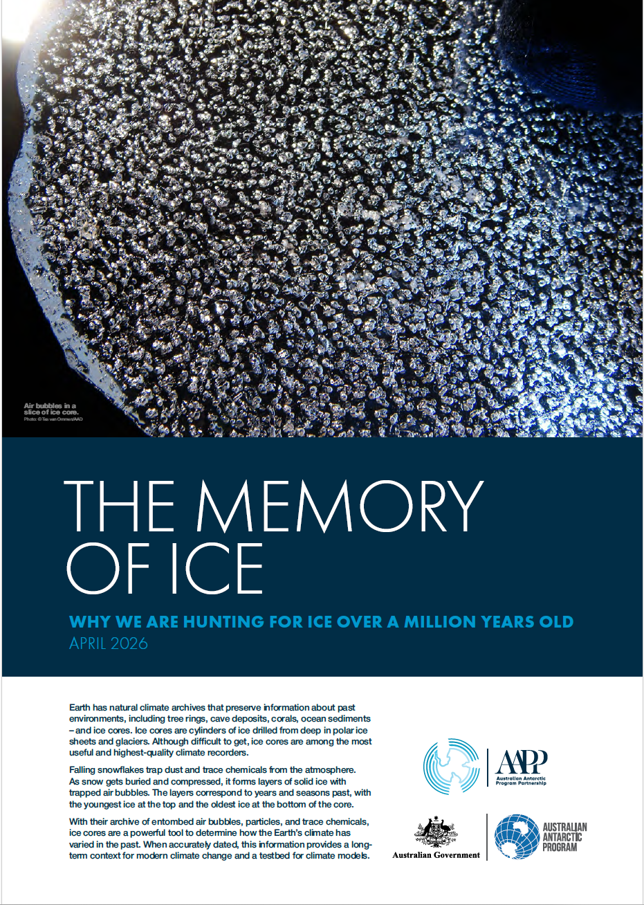 MYIC cover